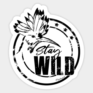 Wild hoopoe Sticker